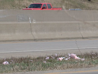 I-435 trash upsets both KS and MO residents